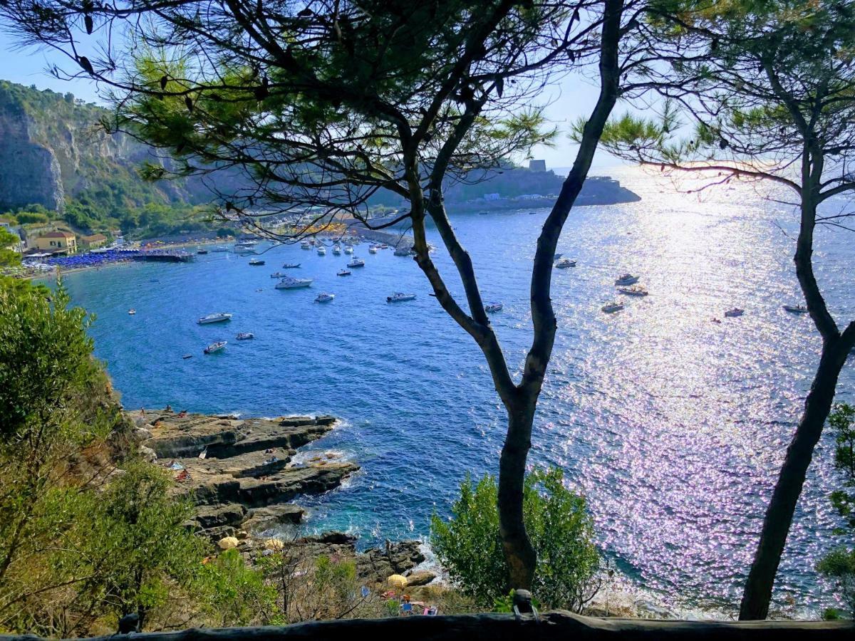 Le Muse Suite Sorrento Exterior foto